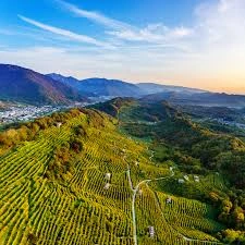 Cosa sono gli “Hogbacks”, i Segreti Geologici delle Colline del Prosecco