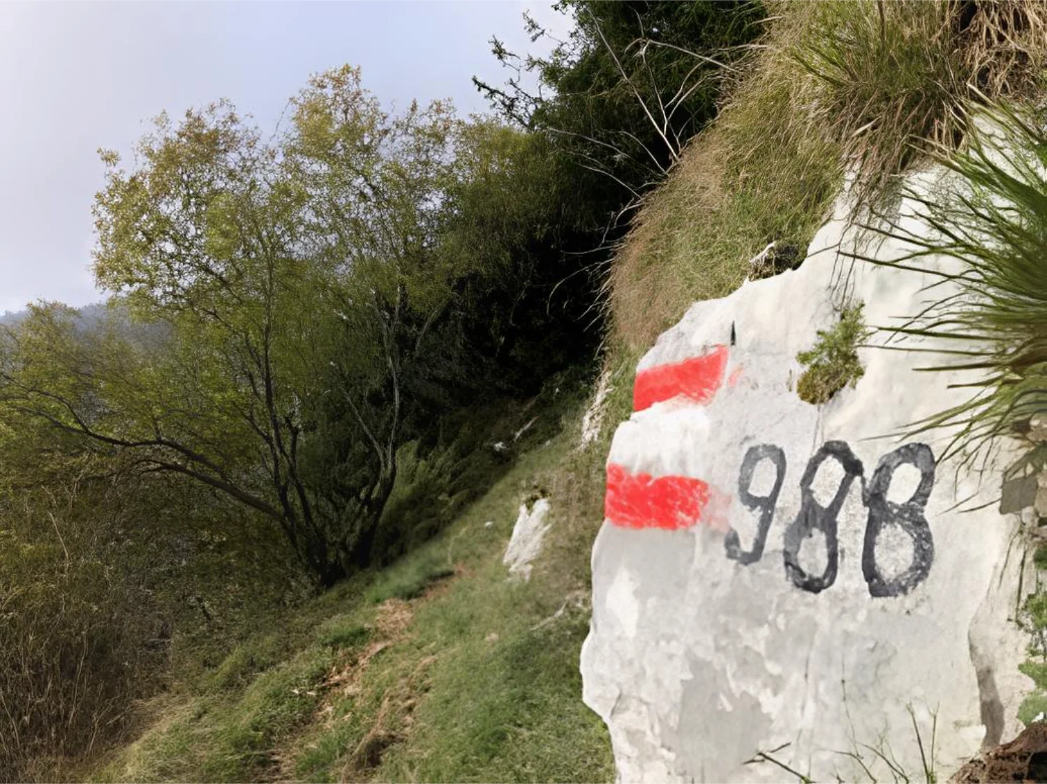 Trekking: Pianezze di Miane, tra Specchi d’Acqua e Sentieri “Segreti”