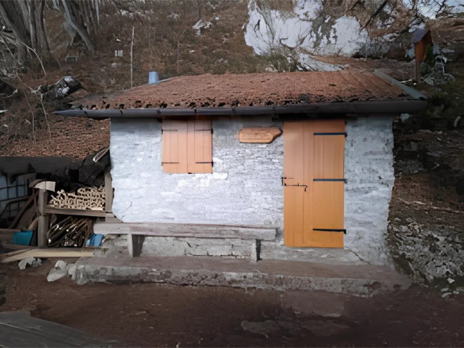 Il Sentiero Nino Lot sul Cansiglio: un balcone verticale tra faggete e praterie d’alta quota