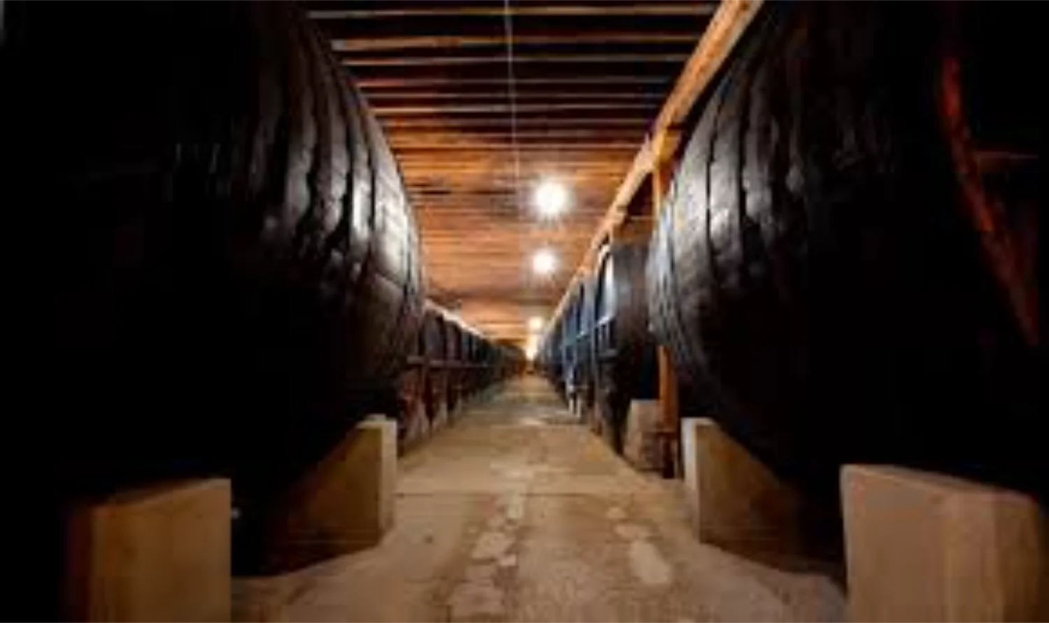 Antiche Cantine Giol, il Tempio Sotterraneo del Vino: Storia, Filosofia e Assortimento delle