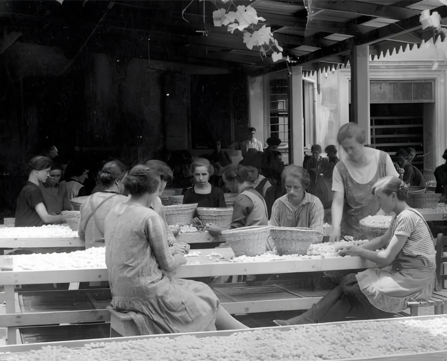 Gold spun by women: the forgotten epic of the Silkworm Museum in Vittorio Veneto