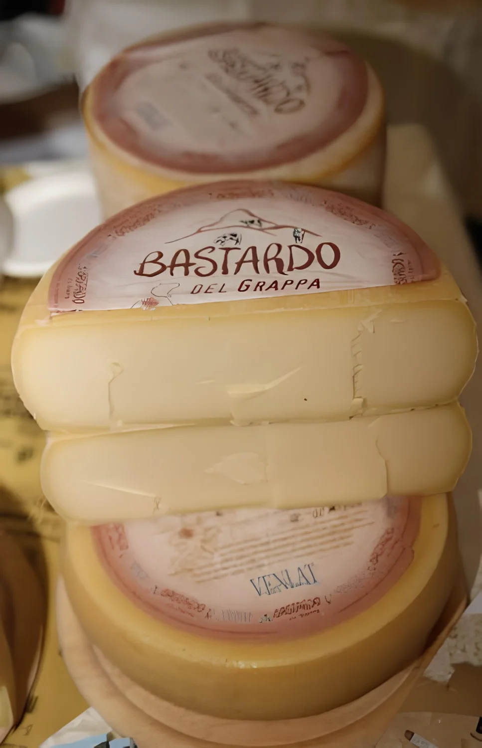 Mezza forma di formaggio Bastardo del Grappa con marchio impresso sulla crosta