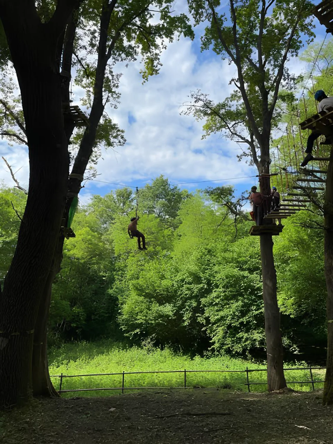 Sospesi nel Verde del Montello: Guida al Sinapsi Park per un’Avventura in Famiglia