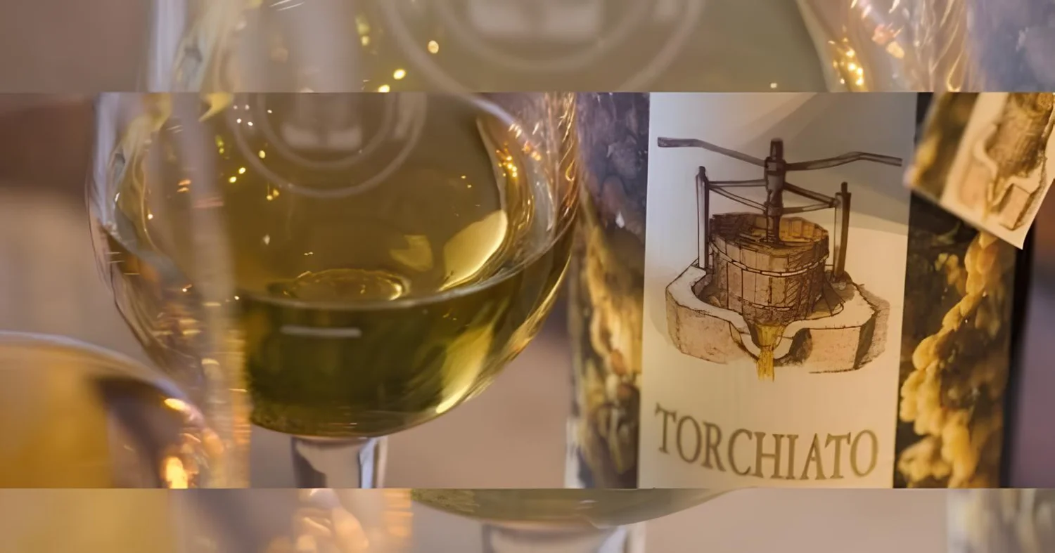 Torchiato di Fregona DOCG: il Vino Passito (quasi) Segreto delle Prealpi Trevigiane