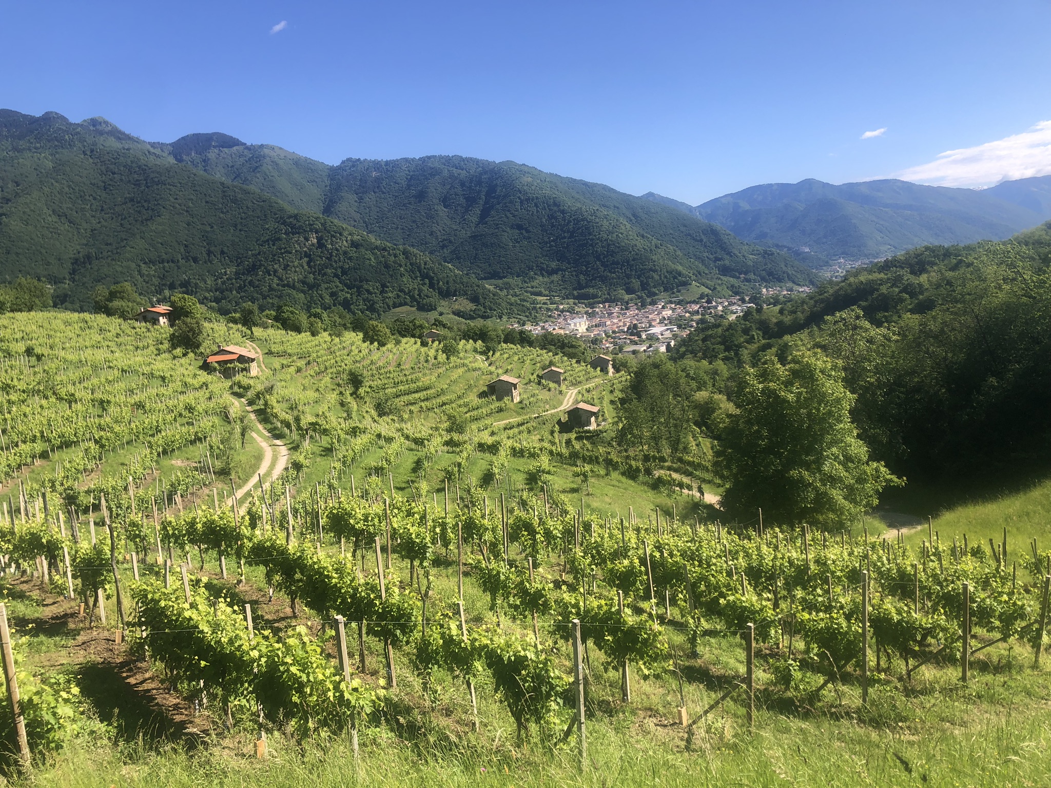 Prosecco Cycling 2026: dove dormire a due passi da Valdobbiadene (27 settembre)